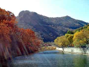 新澳天天开奖资料大全旅游团，三板虎